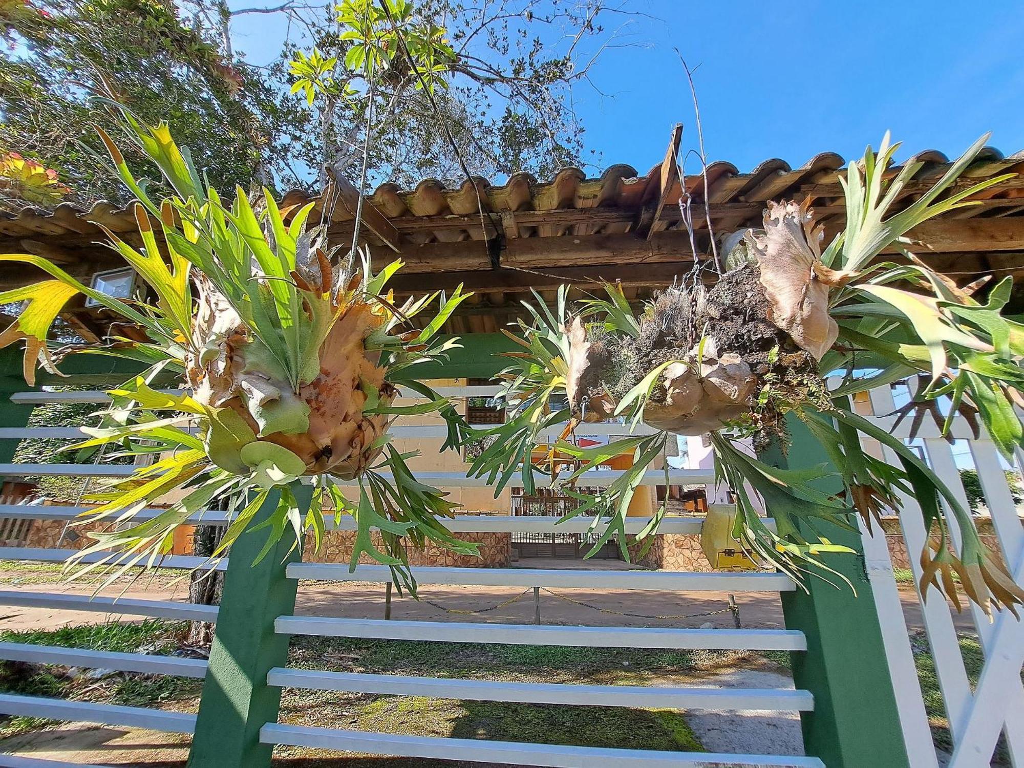 Linda Casa 4 Qts Churrasqueira Prainha Mambucaba Parati Esterno foto